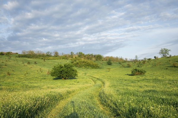 Comparer les prix des cigarettes en voyage : guide pour globe-trotteurs avertis
