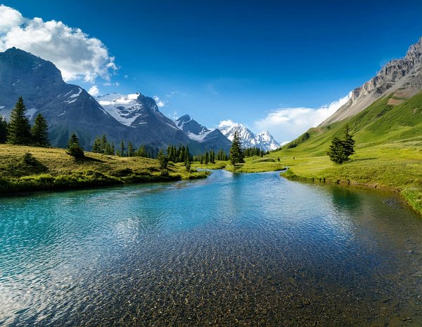 Maisons de Vacances vs Hôtels : Avantages et Inconvénients à Connaître